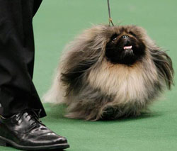 malachy630aa021412-small.jpg