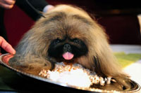 2012wkc16n-1-web.jpg