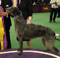 2011espn_g_hickory_600.jpg