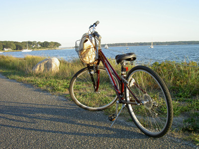 si-bike1.jpg