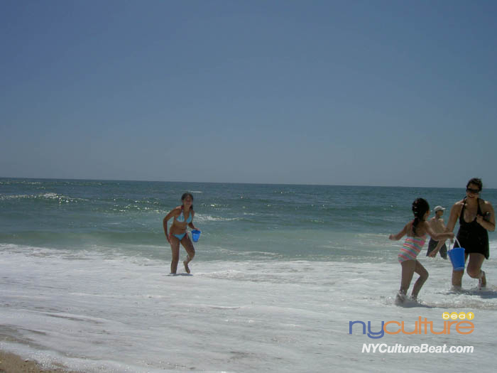 beach1.jpg