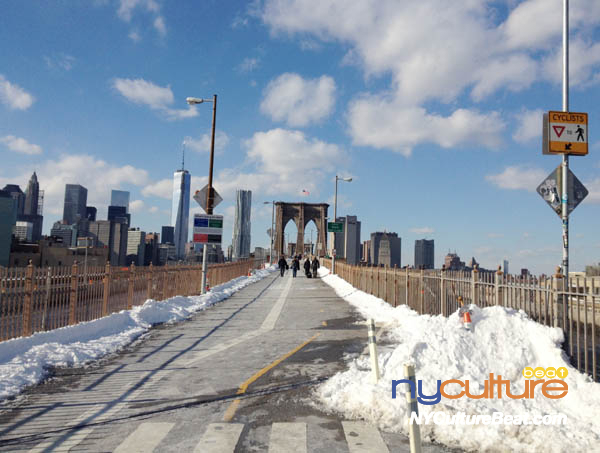2014-1-23-iphone 018.JPG