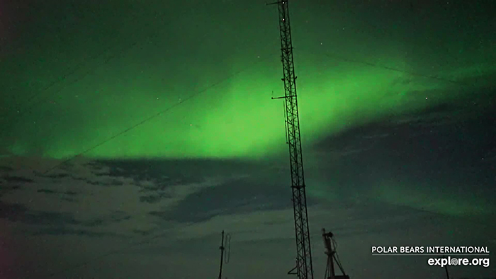 00aurora.jpg