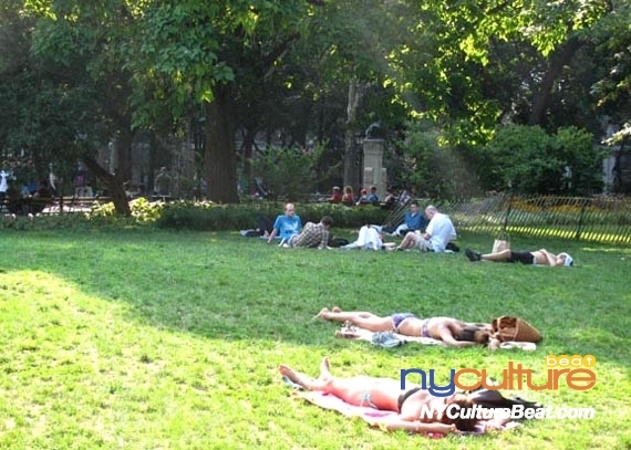 washington-square-park2.jpg