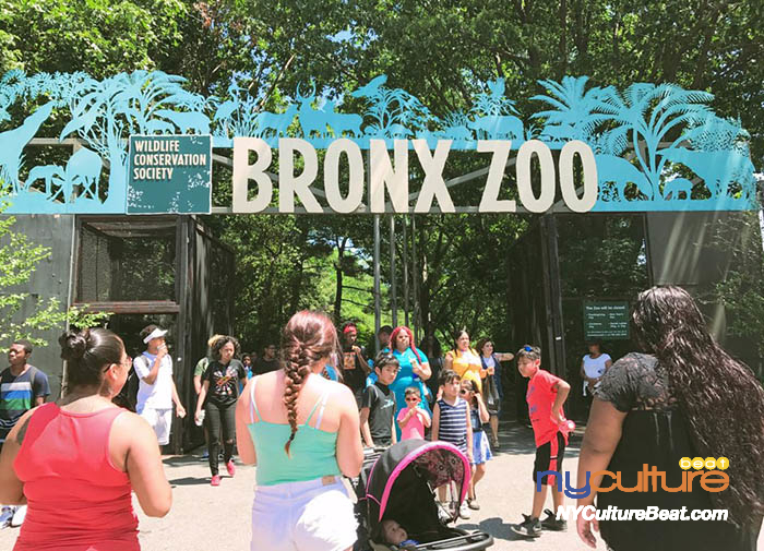 bronx-zoo1.jpg