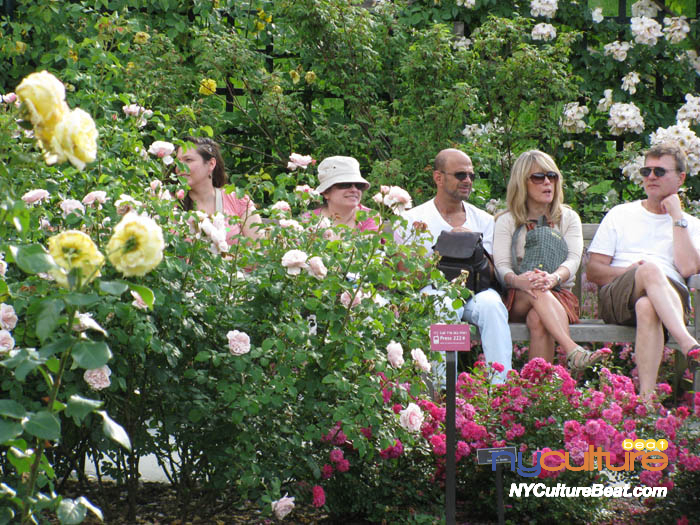 nybg-rosegarden2.jpg