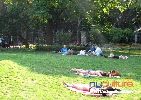 washington-square-park2.jpg