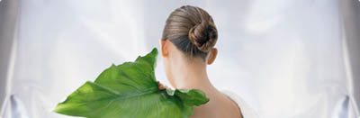 LaPrairie_lilypad_mainshort.jpg