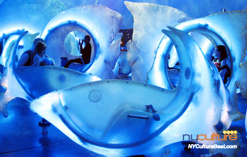 seaglass-carousel1.jpg