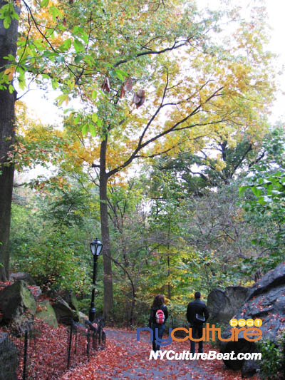 cp-foliage6.jpg