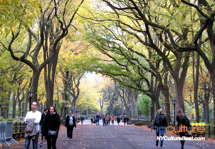 cp-foliage8.jpg