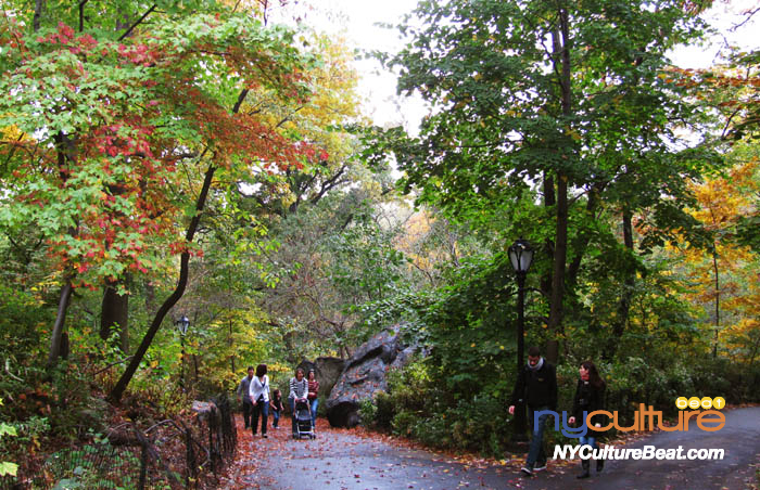cp-foliage7.jpg