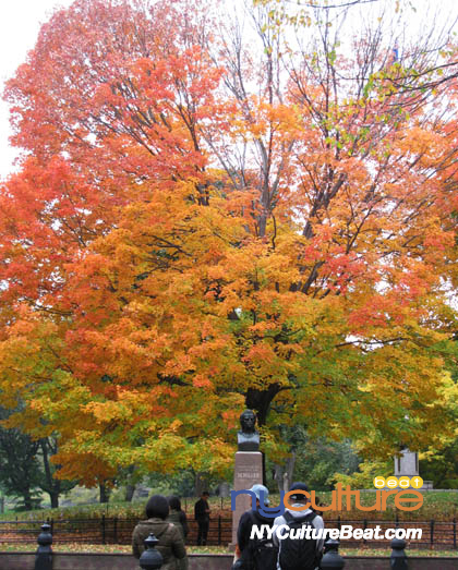 cp-foliage11.jpg