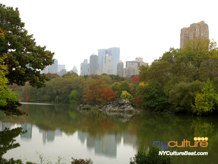 cp-foliage9.jpg