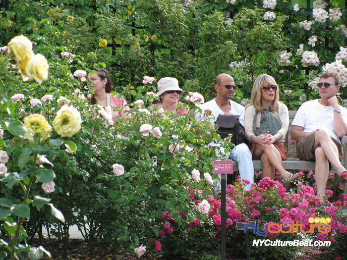 nybg-rosegarden2.jpg