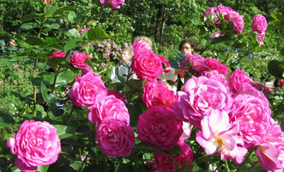 00IMG_5210.jpg
