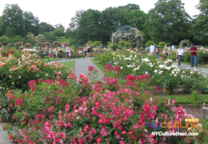 nybg-rosegarden3.jpg