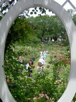 bbg-rosefestival6.jpg
