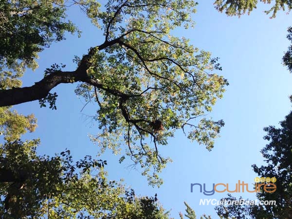 blue-sky.jpg