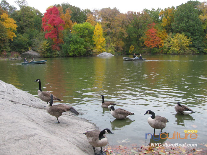 000IMG_3950.jpg