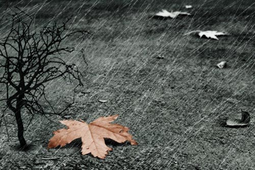 김정기List-Tree-Rain-485x728.jpg