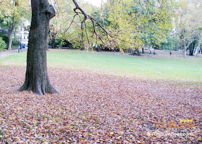 central-park.jpg