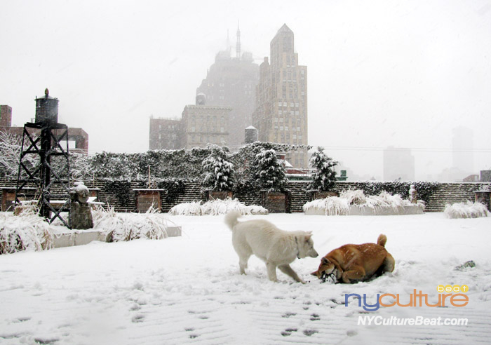 000IMG_8444 (2).jpg
