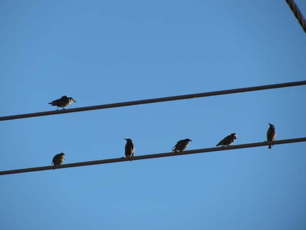 blue-sky2.jpg