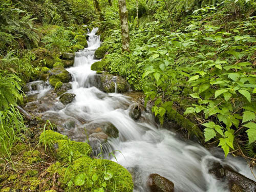 Beatiful-water-spring-wallpaper.jpg
