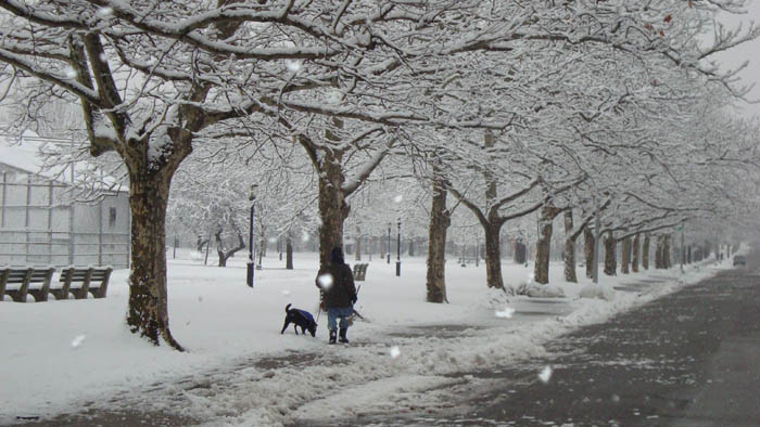snow-209 (2).jpg