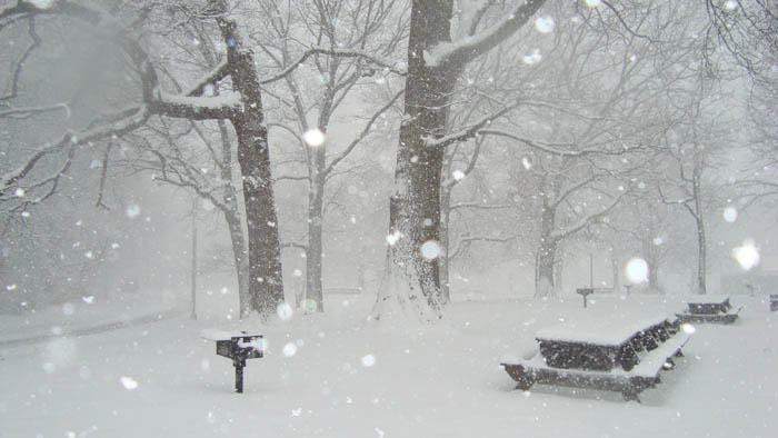 snow-203 (2).jpg
