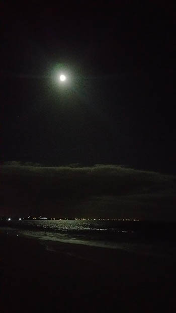 126_Whitman_beach.jpg