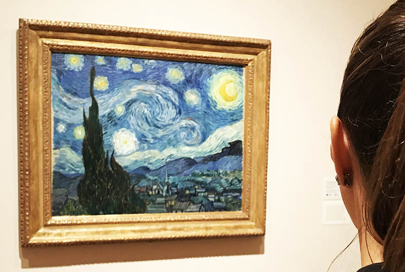 moma3.jpg