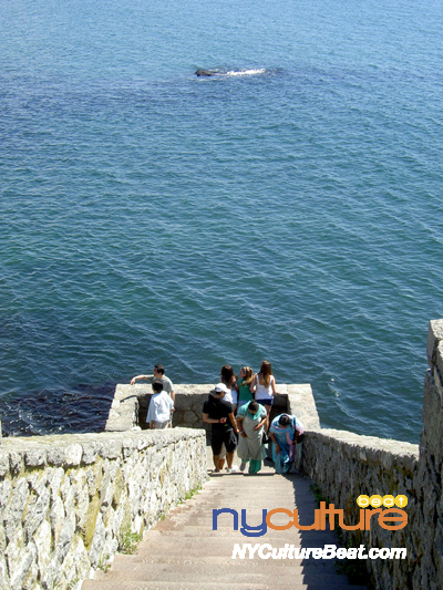 newport3.jpg