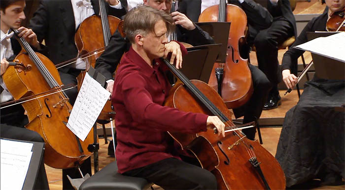 cello2.jpg