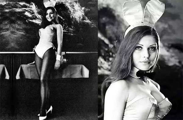 bunny.jpg