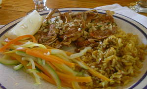 PICT0837.jpg