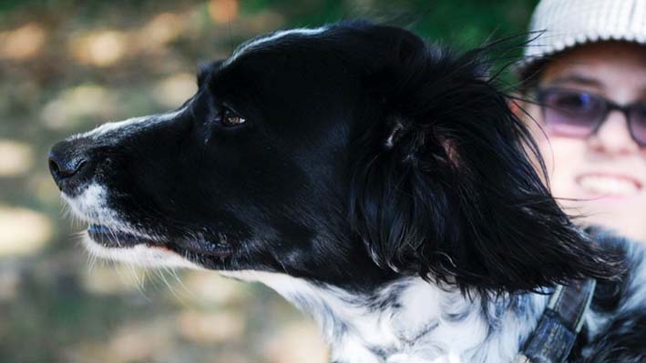 buddy-1000x563.jpg