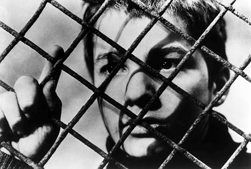 400blows.jpg