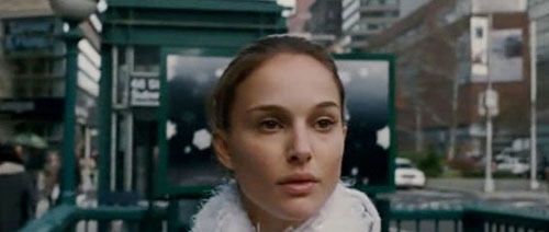 13blackswan04.jpg