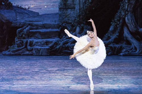 misty-swan.jpg