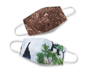 scenic-new-york-face-masks.jpg