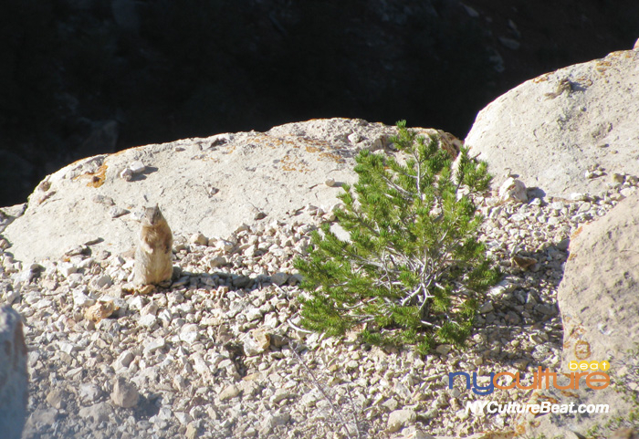 000IMG_8840.jpg