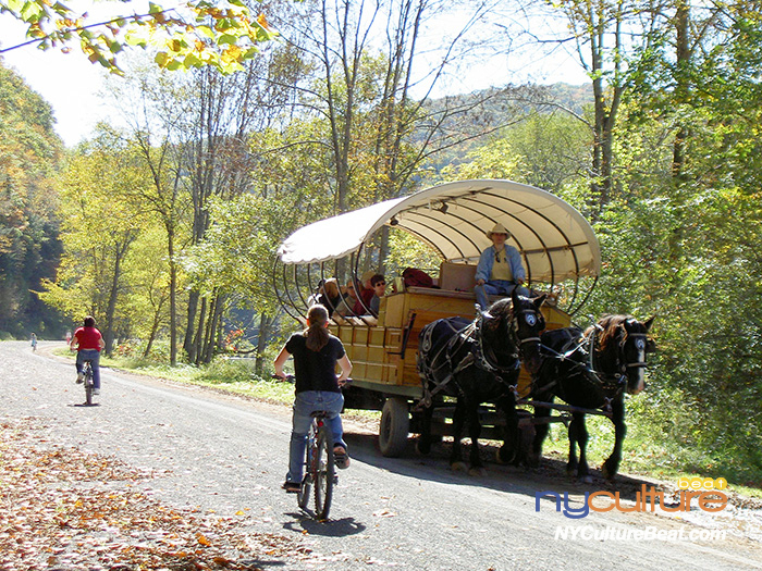 PICT5262.jpg