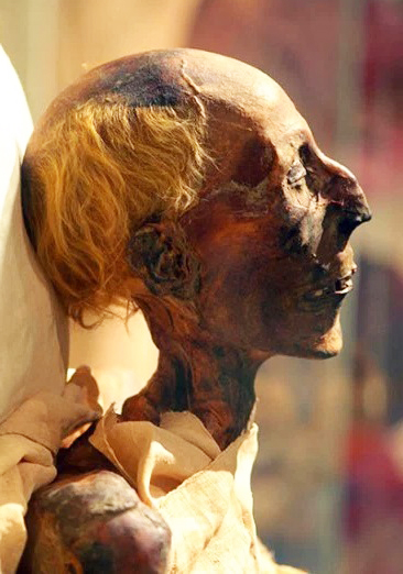 Ramesses_II_mummy_in_profile_(colored_picture) (1)Wolfman12405.jpg