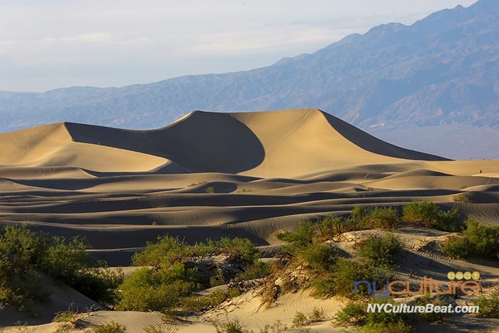 Mesquite Flat Sand DunesYMJNYC2389.jpg