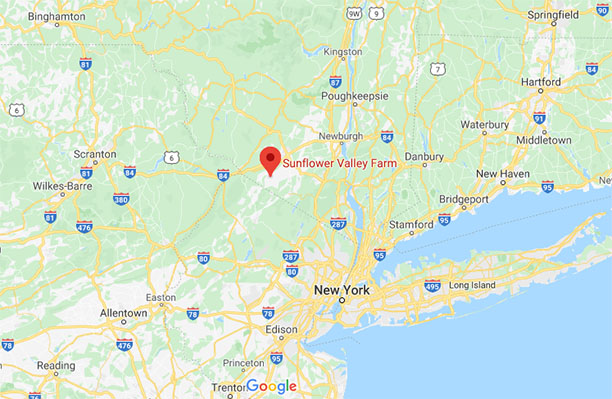map.jpg