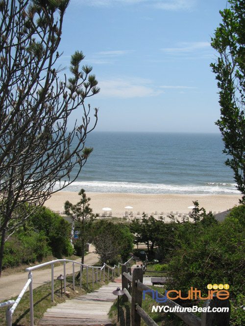 Montauk-2015-5 113 (2).jpg