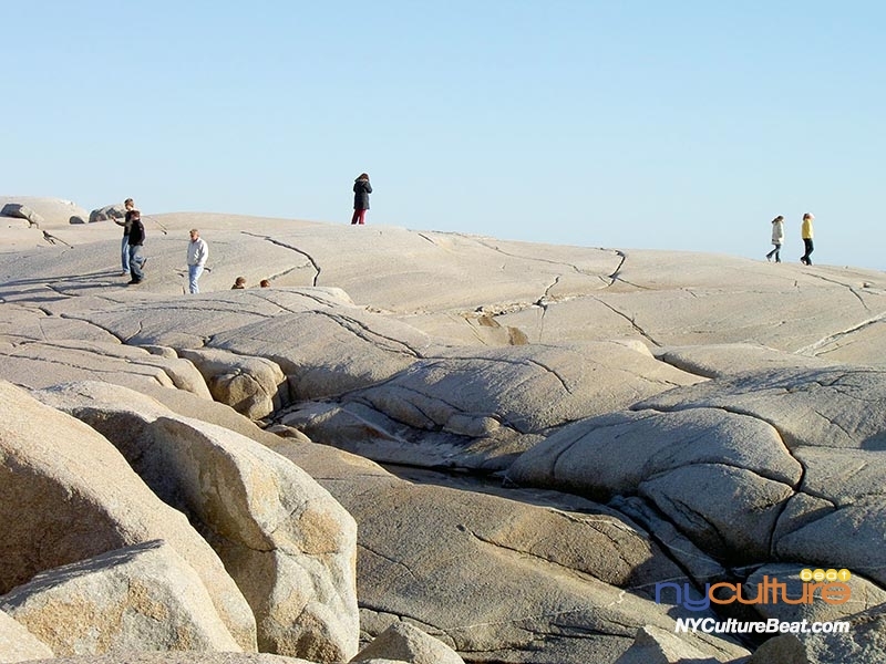 halifax-peggy'scove5.jpg