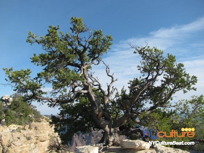 000IMG_9072 (2).jpg